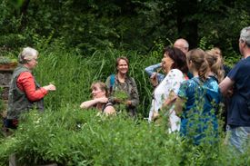Kruidenwandeling in Nationaal Park De Groote Peel