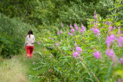 De Foodwalk rond Buitenpost