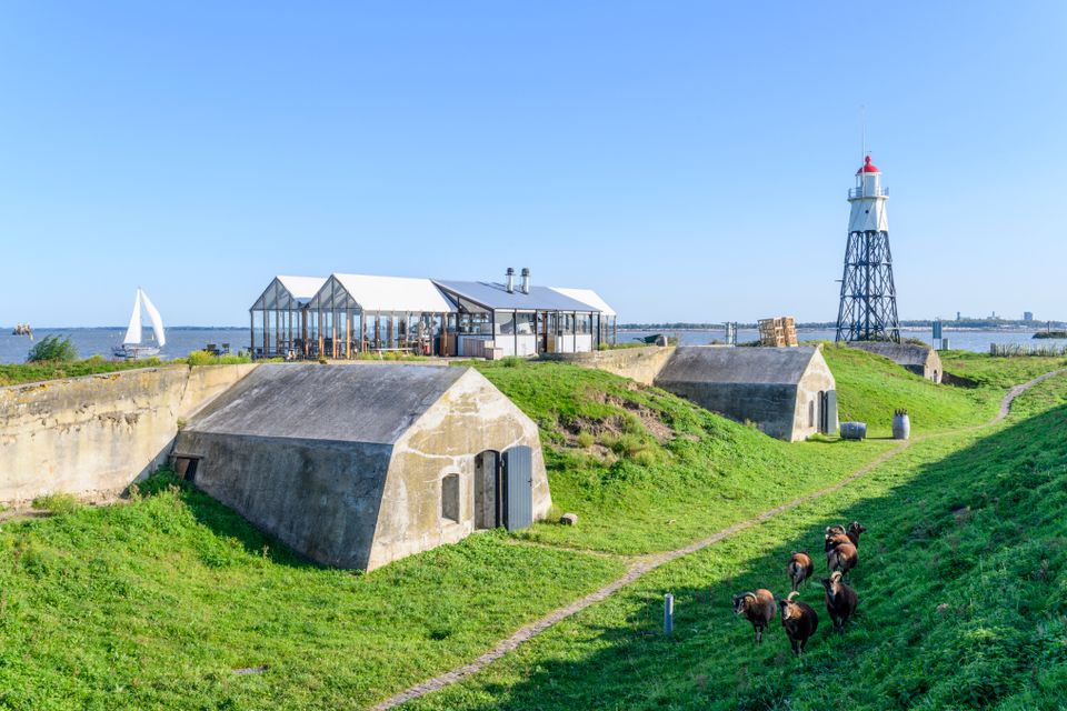 Een groene omgeving met daarin twee betonnen gebouwen. Op de achtergrond zie je een kleine vuurtoren en water. Ook loopt er een kudde geiten op het eiland.