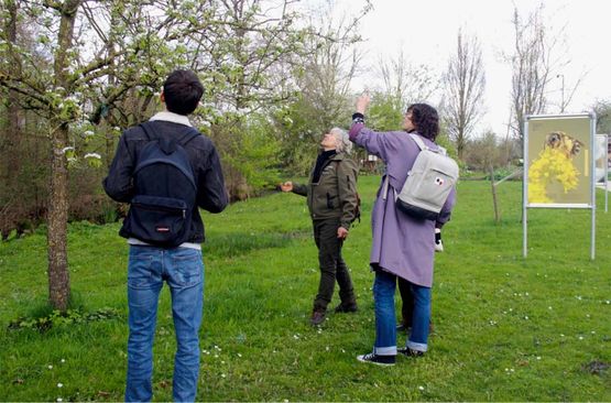 Op pad met de expert: Mee met de imker