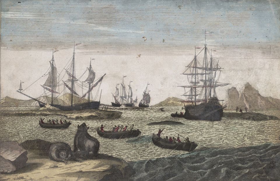 Ets van de walvisvaart