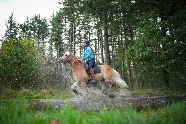 Een ruiter rent met haar paard door de plassen in het bos.