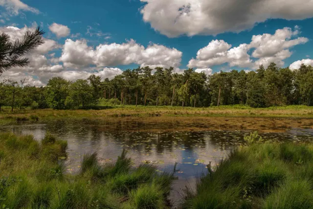 Natuurgebied De Ravenvennen