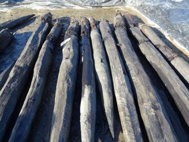 Een aantal pijlers van een houten Romeinse brug in Rijnvliet