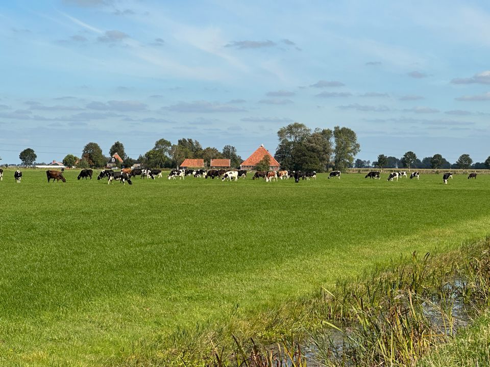 Naar Pikesyl