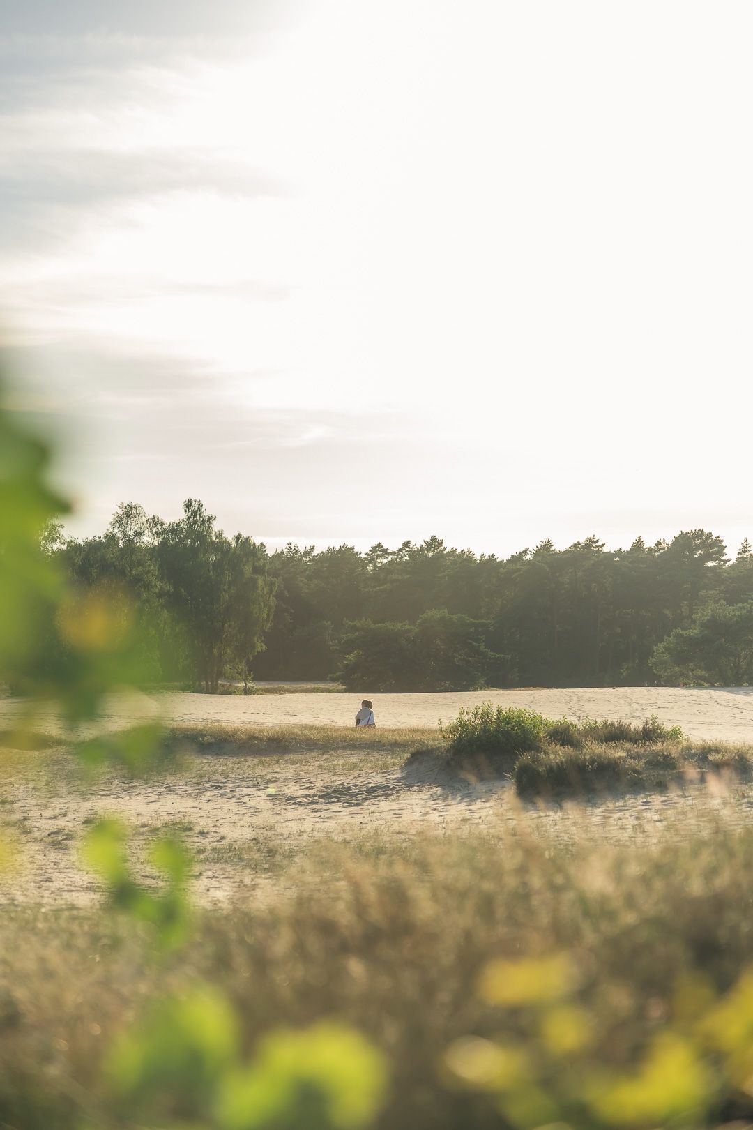 Persoon zittend in de zandverstuiving De Soesterduinen op De Utrechtse Heuvelrug