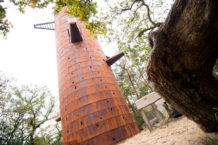 Appelscha Bosbergtoren Drents Friese Wold