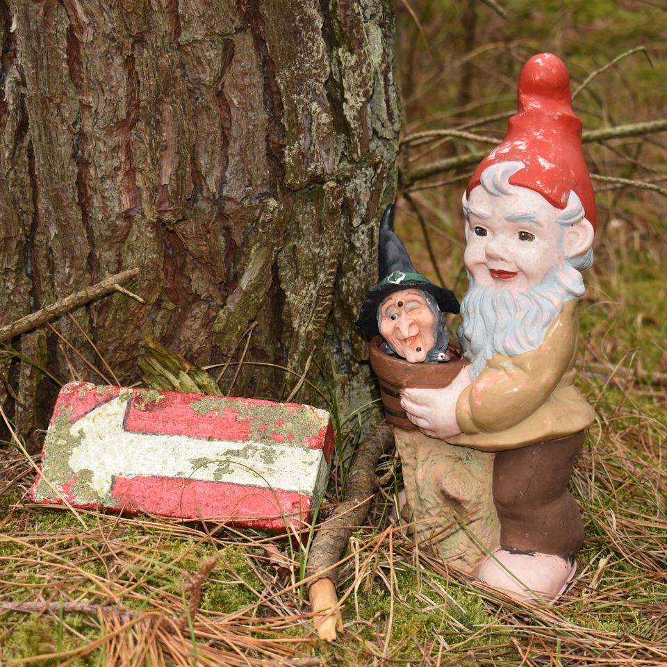 Kabouterbos Vlieland 1