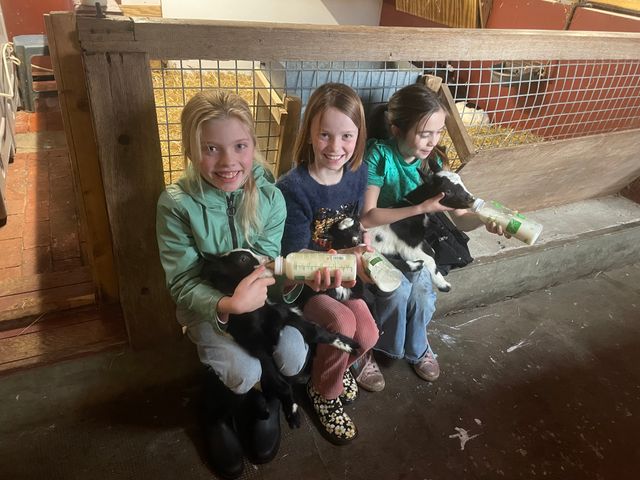 Kraamvisite | Geitenkaasboerderij Brömmels