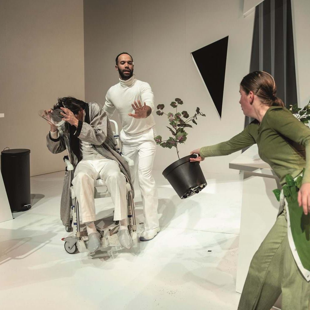 Het groene meisje 8+ MaxTak