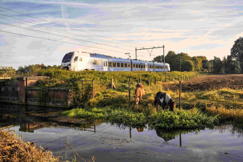 Trein Arriva Zuid Limburg Rothem en Meerssen omgeving