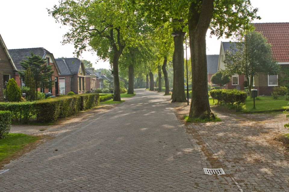 De Trynwâlden