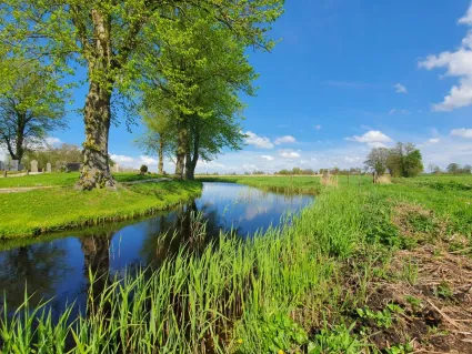 Veenlandschap Zuid Oost Friesland