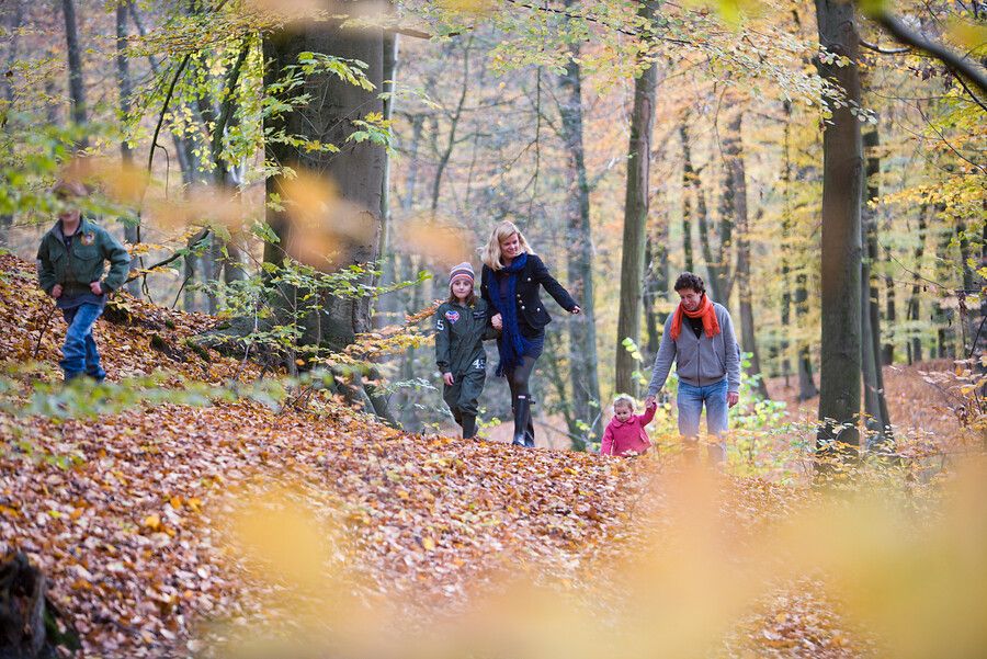 Wandelen in het bos met de kinderen