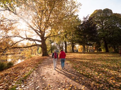 Sfeerbeeld van het park Het Plantsoen in Leiden, in de herfst