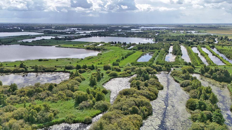 Overzichtsfoto Alde Feanen