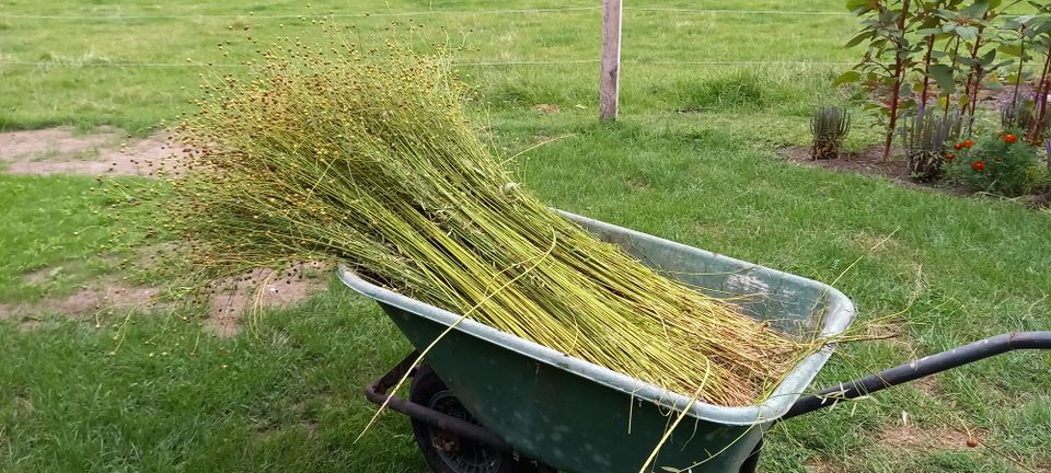 Zaai je eigen vierkante meter vlas!