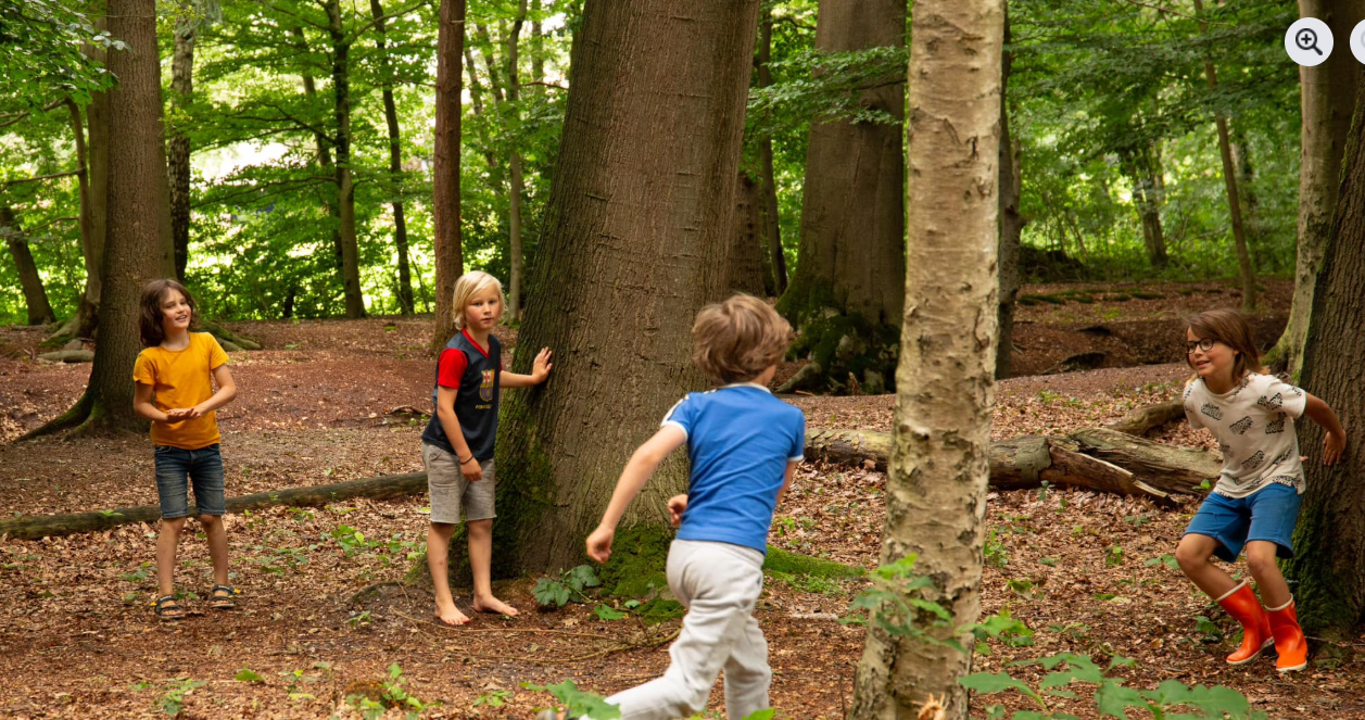 Kinderen spelen tikkertje in het bos