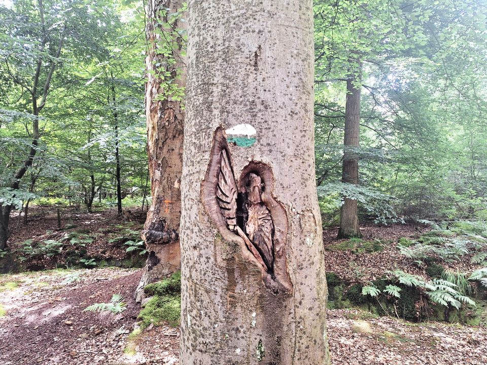 Beeldenroute Olterterp