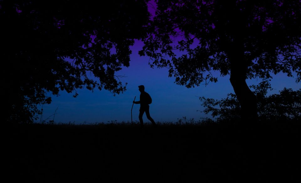 Nachtwandeling tijdens Nacht van de Nacht