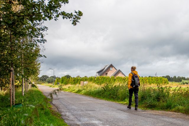 Een wandelaar op een boerenlandweg in Brabant.