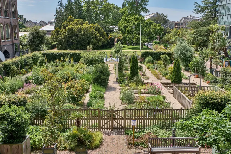 Clusiustuin bovenaanzicht Hortus Botanicus Leiden