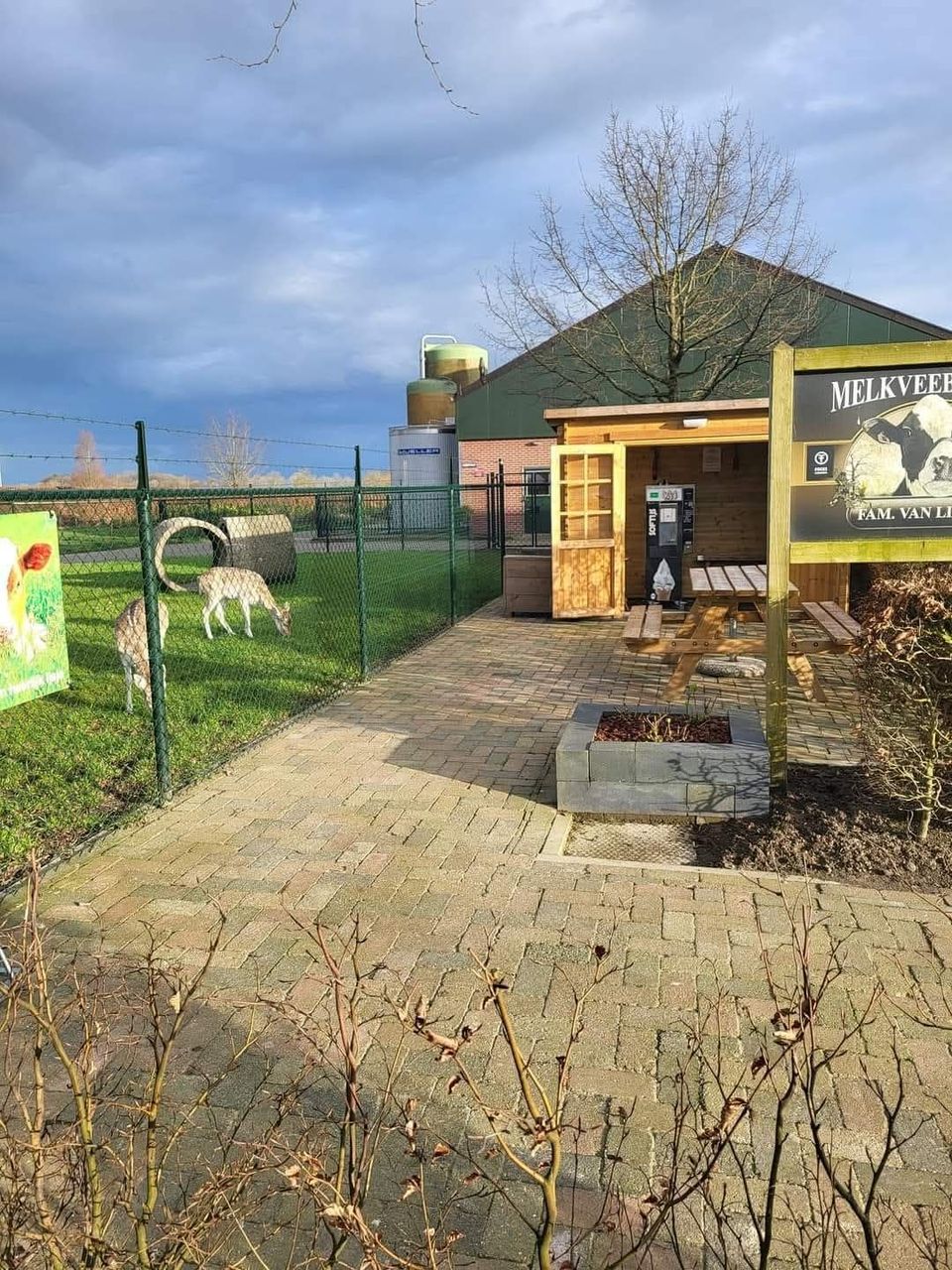 Softijsautomaat in de blokhut van 't Haarens ijsbeerde