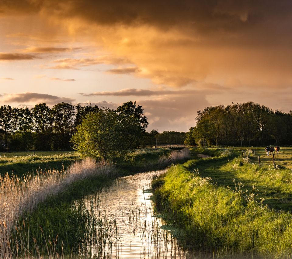 Een vennetje in een natuurgebied