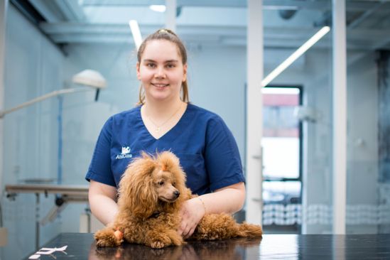 foto: Open dag Anicura Dierenkliniek Eersel