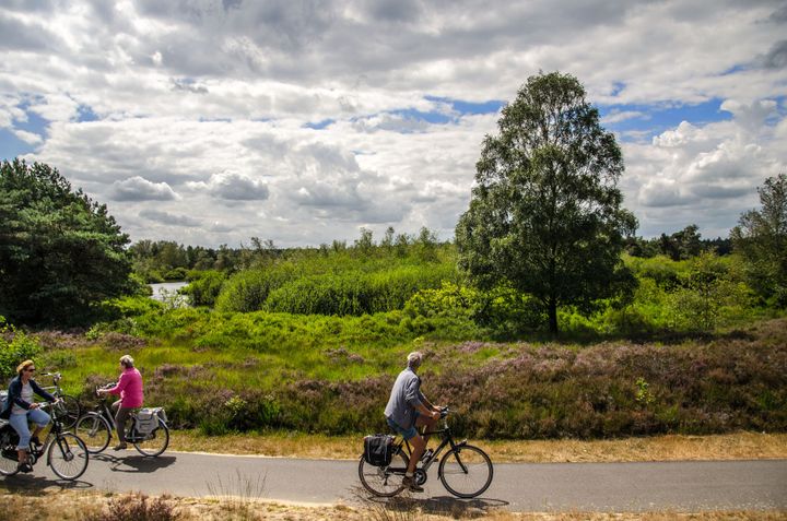 Fietsen Valkenswaard