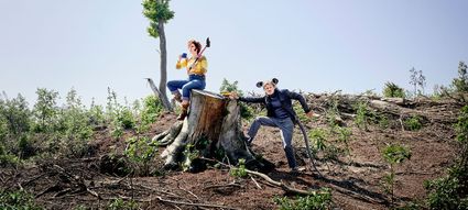 Programmering van Theater de Lievekamp