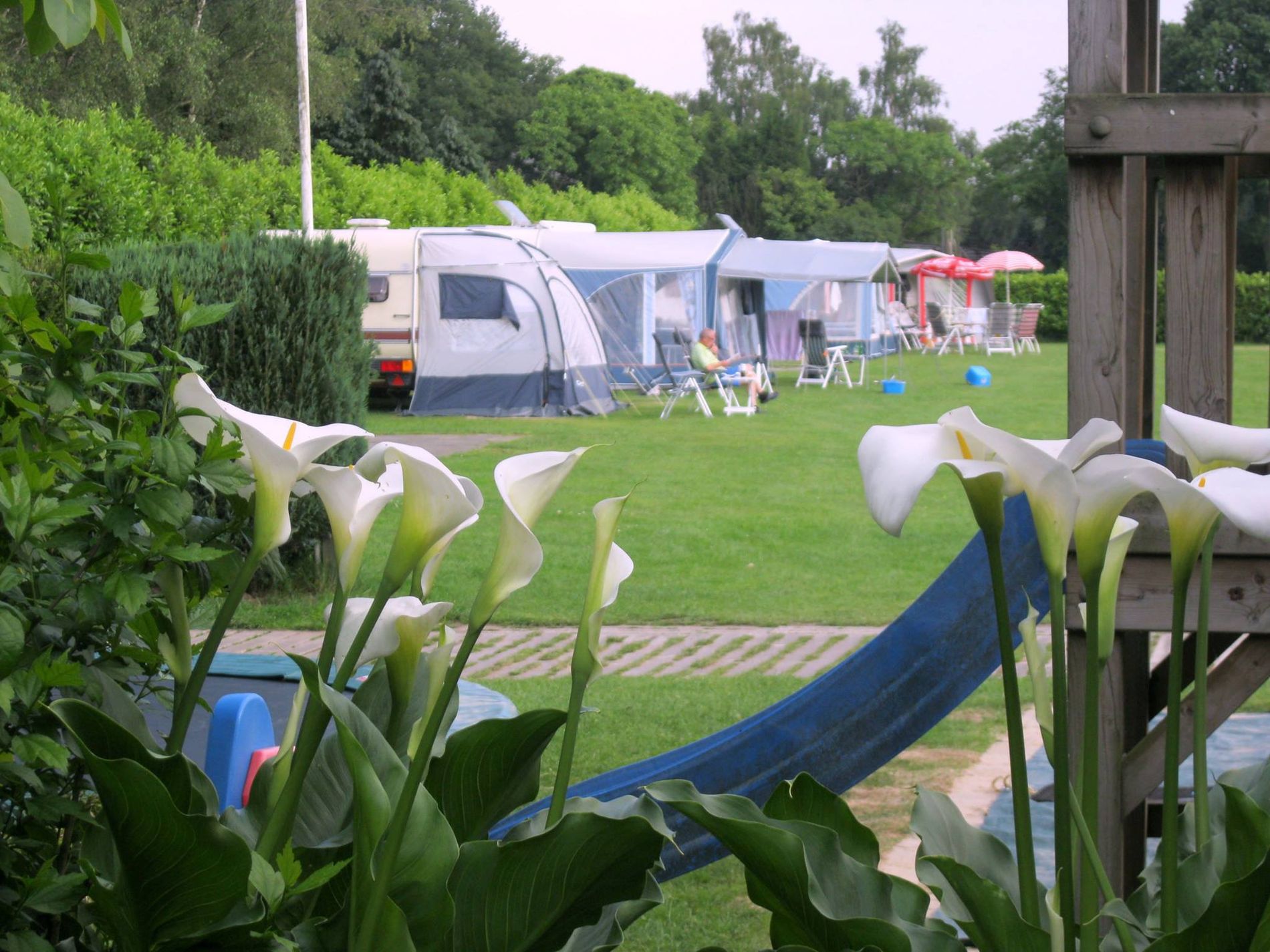 Doorkijkje tussen witte bloemen naar een speeltoestel en op de achtergrond diverse caravans en een groene rand van struiken en bomen.