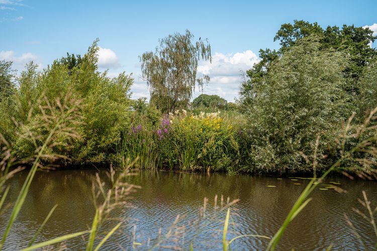 De Karpendonkse plas met bloemen