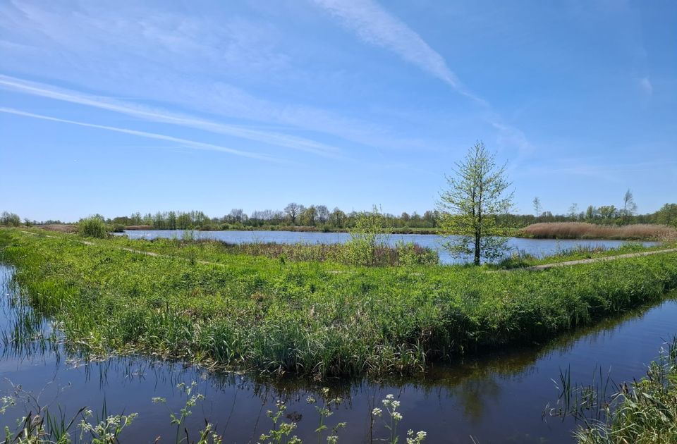 Naar Noardburgum