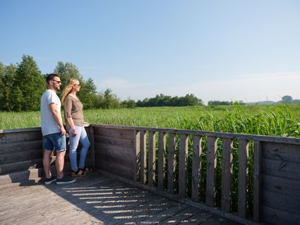 Foto van wandelaars bij uitkijkpunt zouweboezem