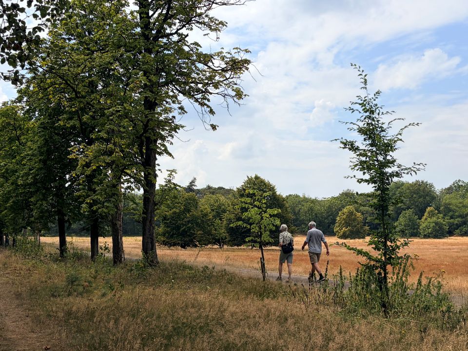 Wandelend stel op Landgoed Beerschoten