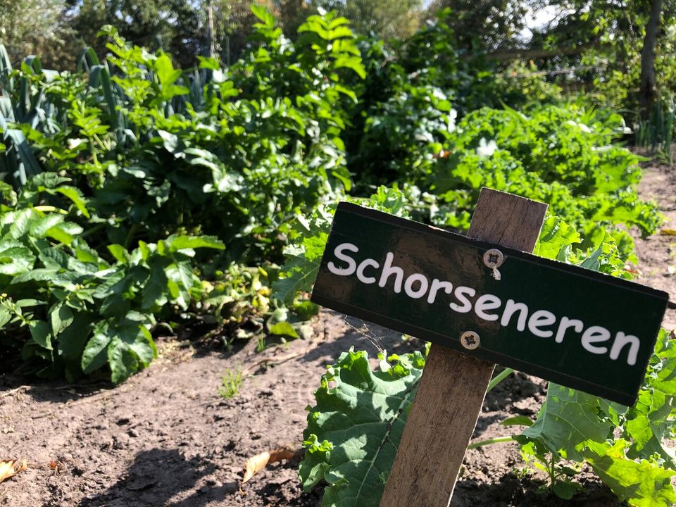 Moestuin De Menmoerhoeve Etten-leur