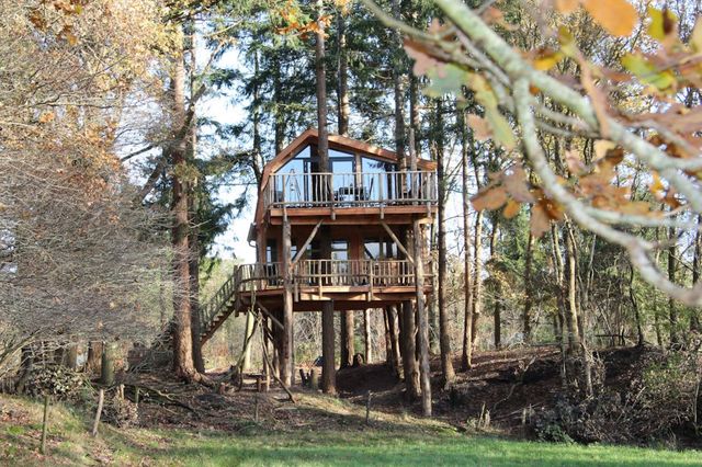 Ein Baumhaus als Übernachtungsmöglichkeit in der Natur in Drenthe.