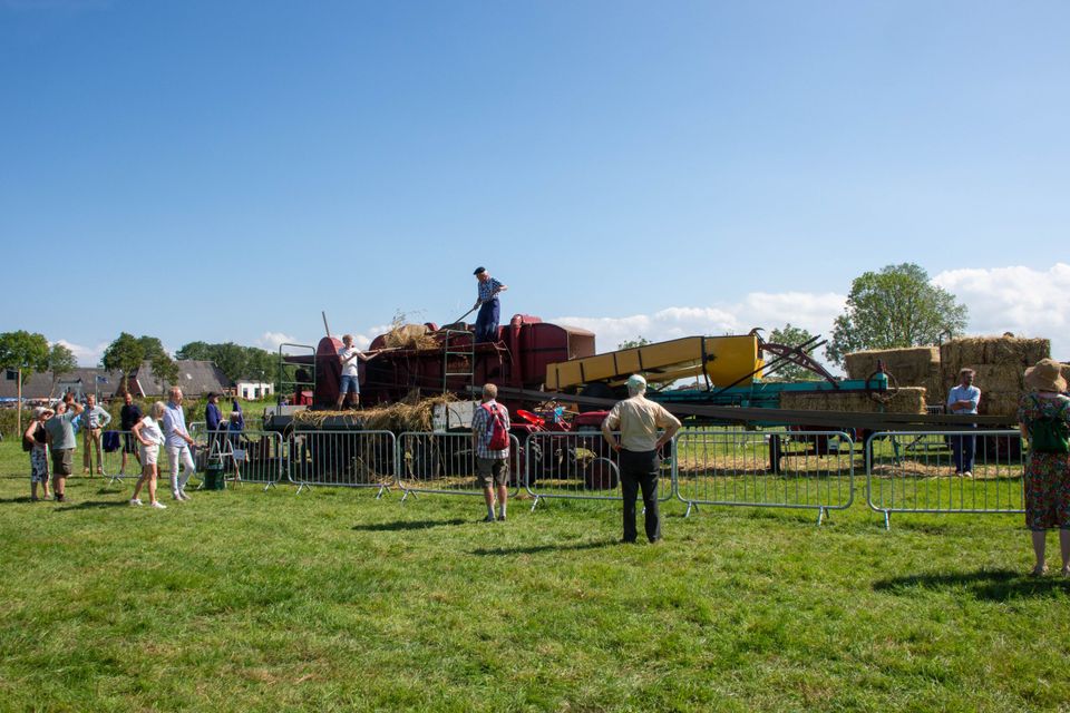 Foto's: Historisch Oogstfestival 2024; foto's zijn rechtenvrij te gebruiken.
