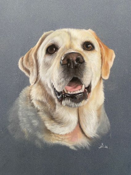 Dierenportret gemaakt door Sonja van Egmond