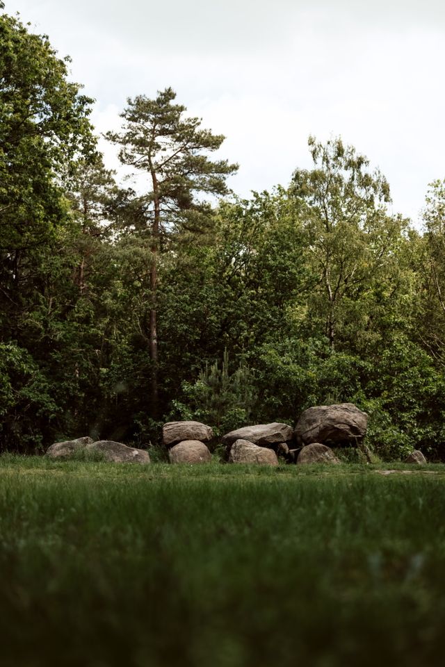 Ein Dolmen im Gras mit einem Wald im Hintergrund.