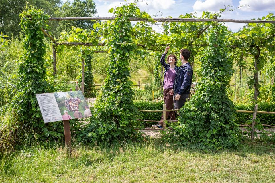 Twee jonge mensen lopen in de Romeinse tuin, met op de voorgrond een informatiebord.