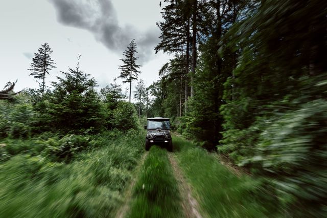 Ein Jeep fährt über einen Sandweg zwischen den Bäumen.