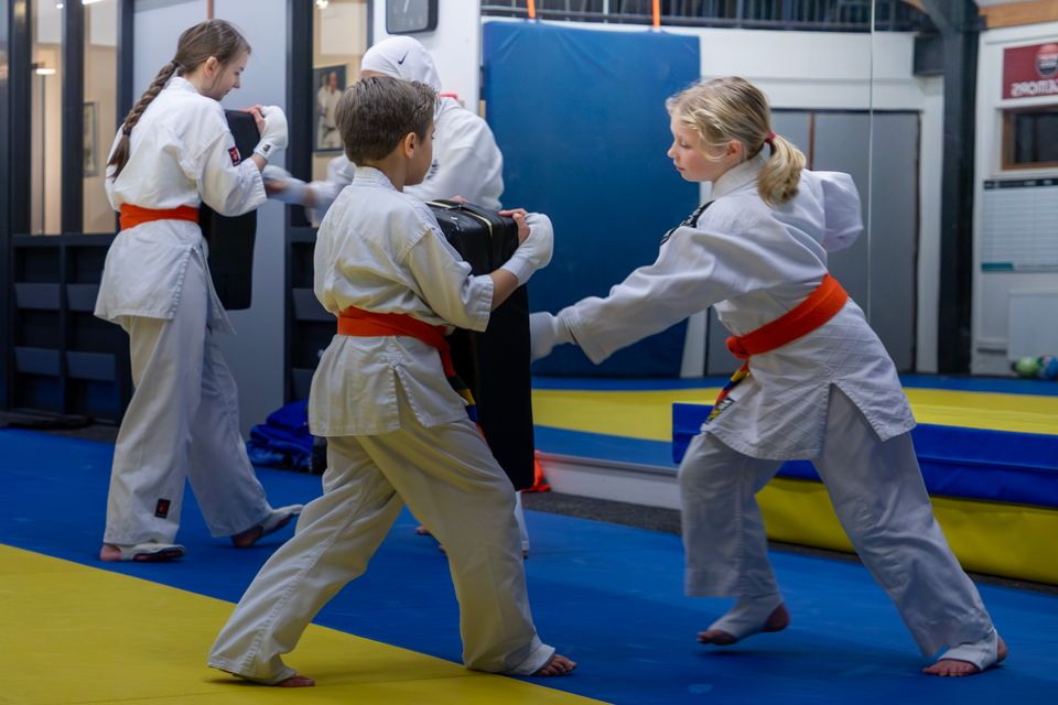 Shin Kyokushin Karate