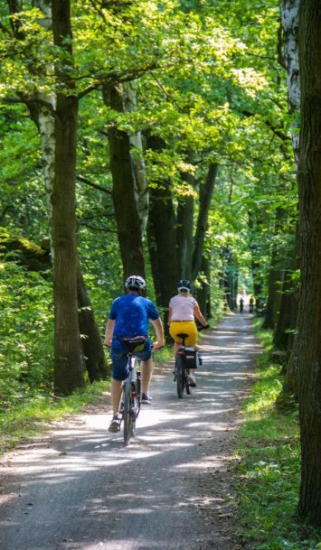 Fietsende mensen door het bos