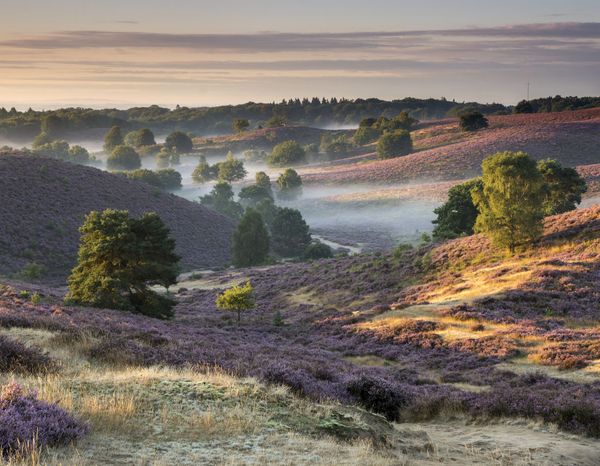 posbank, natuur, veluwezoom, Rheden
