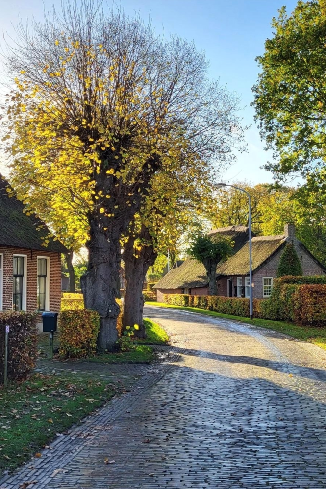 Een dorpsaanzicht met klinkerweggetje en rietgedekte boerderijen.