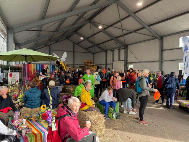 Afbeelding van de Duin en Bollen Vierdaagse