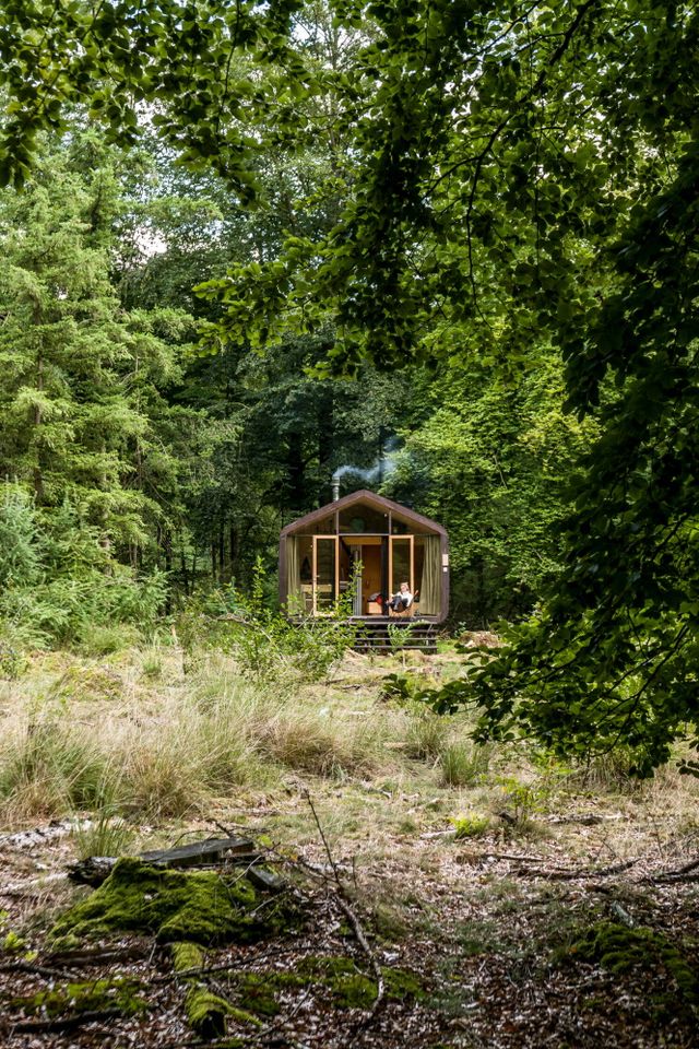 Een vrouw zit voor een cabin midden in het bos.