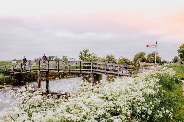 Maarhuizen